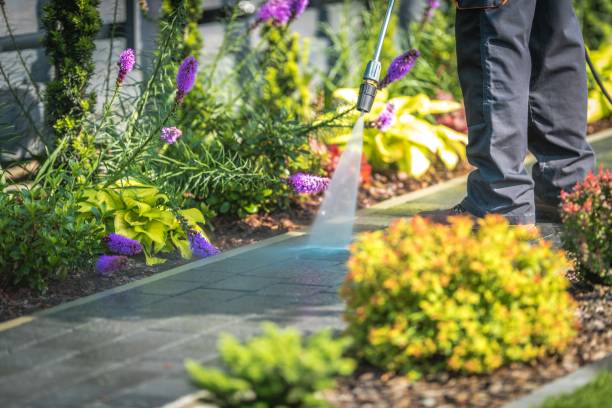 Best Animal Enclosure Cleaning  in Jamestown West, NY
