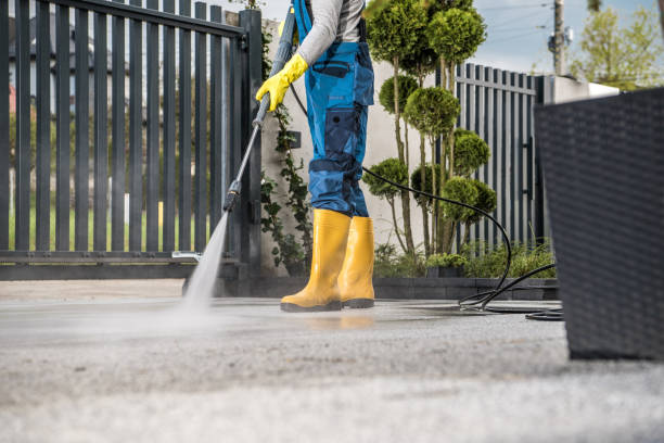 Best Gutter Cleaning  in Jamestown West, NY
